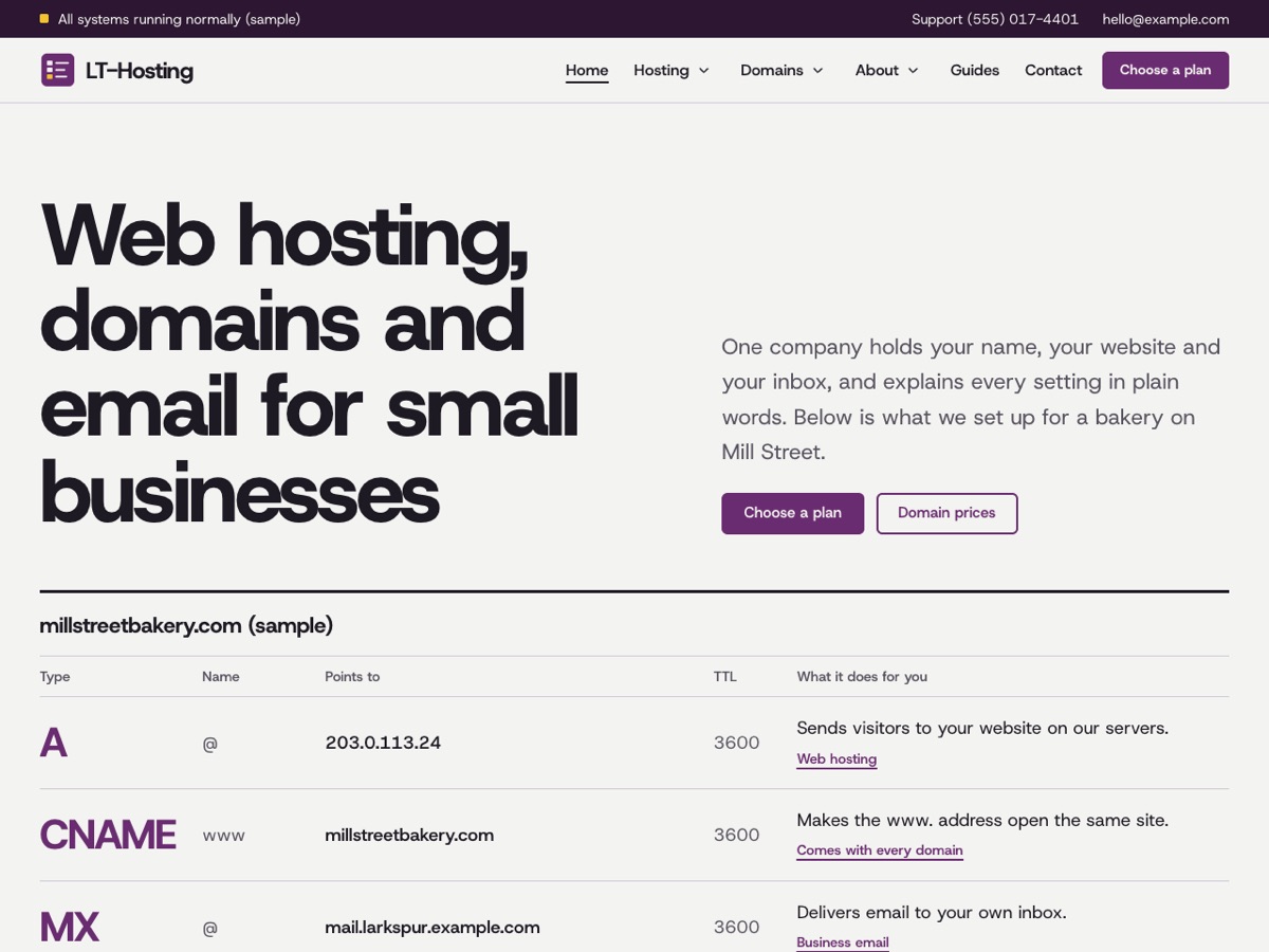 Home page of the LT Hosting demo
