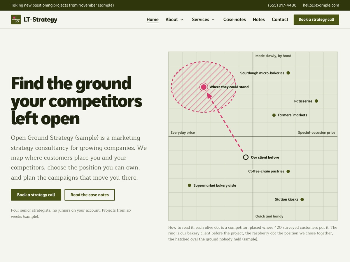 Home page of the LT Strategy demo