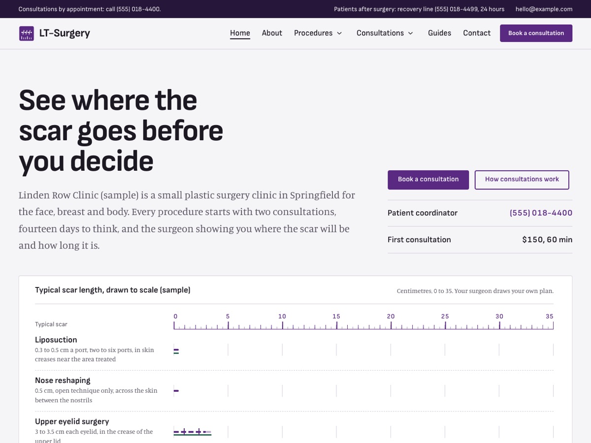 Home page of the LT Surgery demo