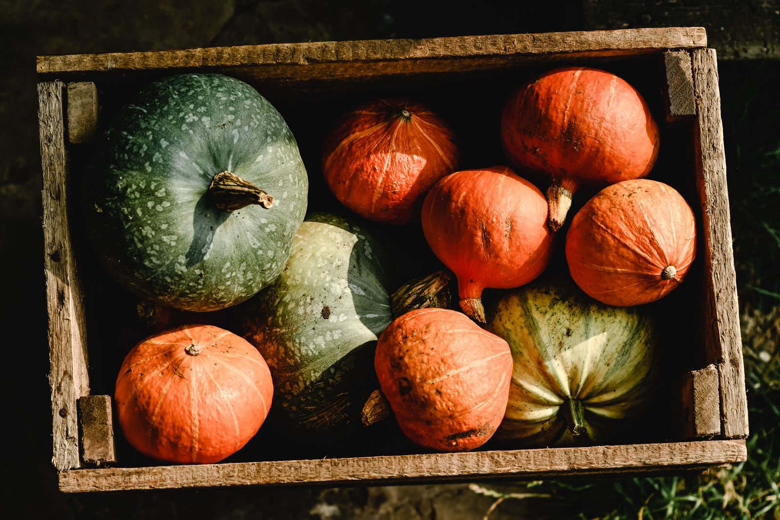 Pumpkins and gourds of different colours in a wooden crate