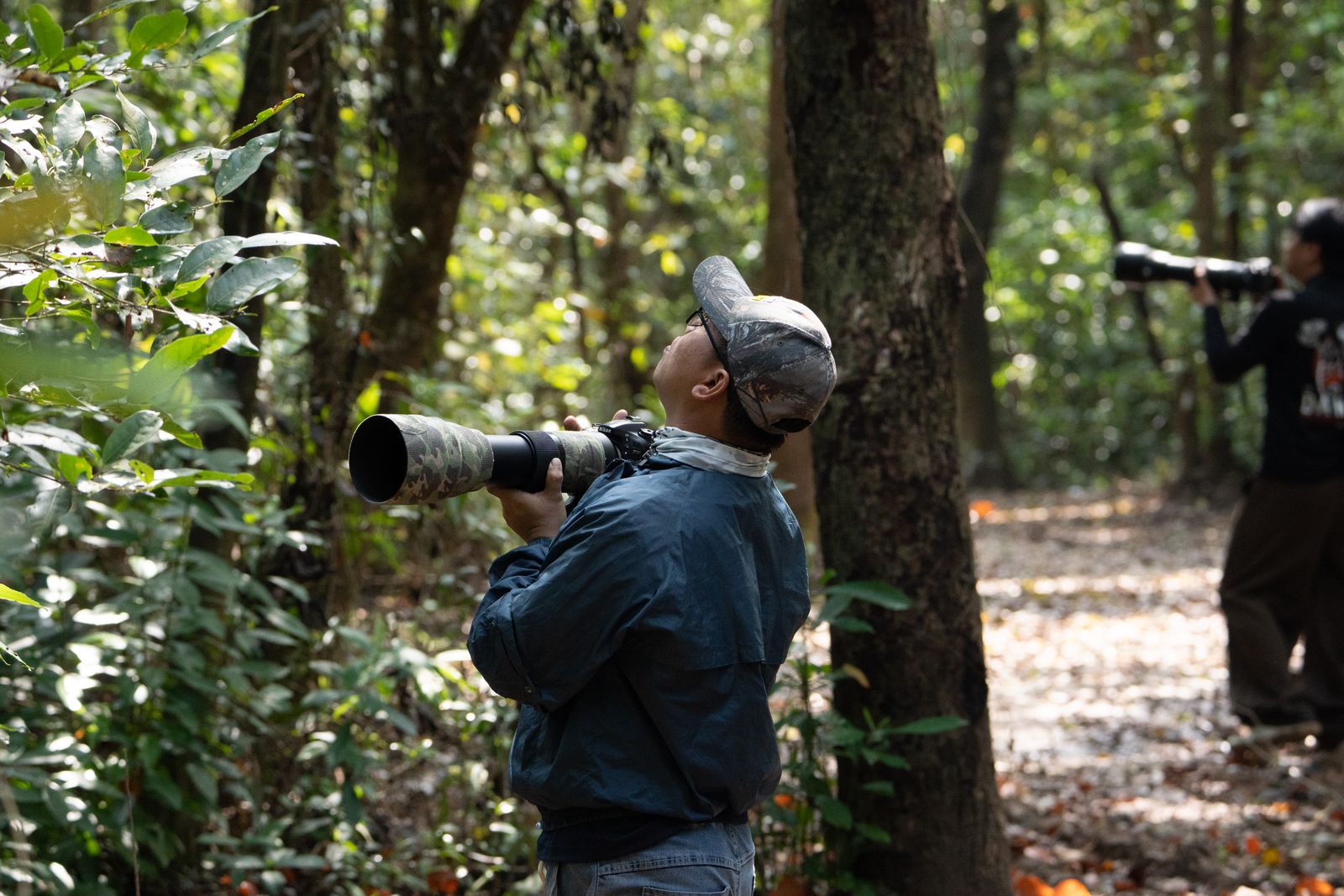 Two birdwatchers with long camera lenses watching the trees on a forest path