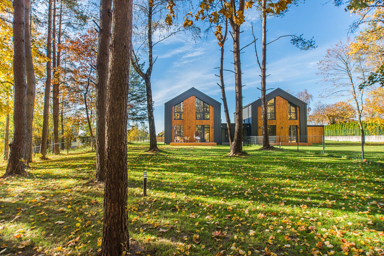 Two dark gabled houses among tall trees in an autumn meadow