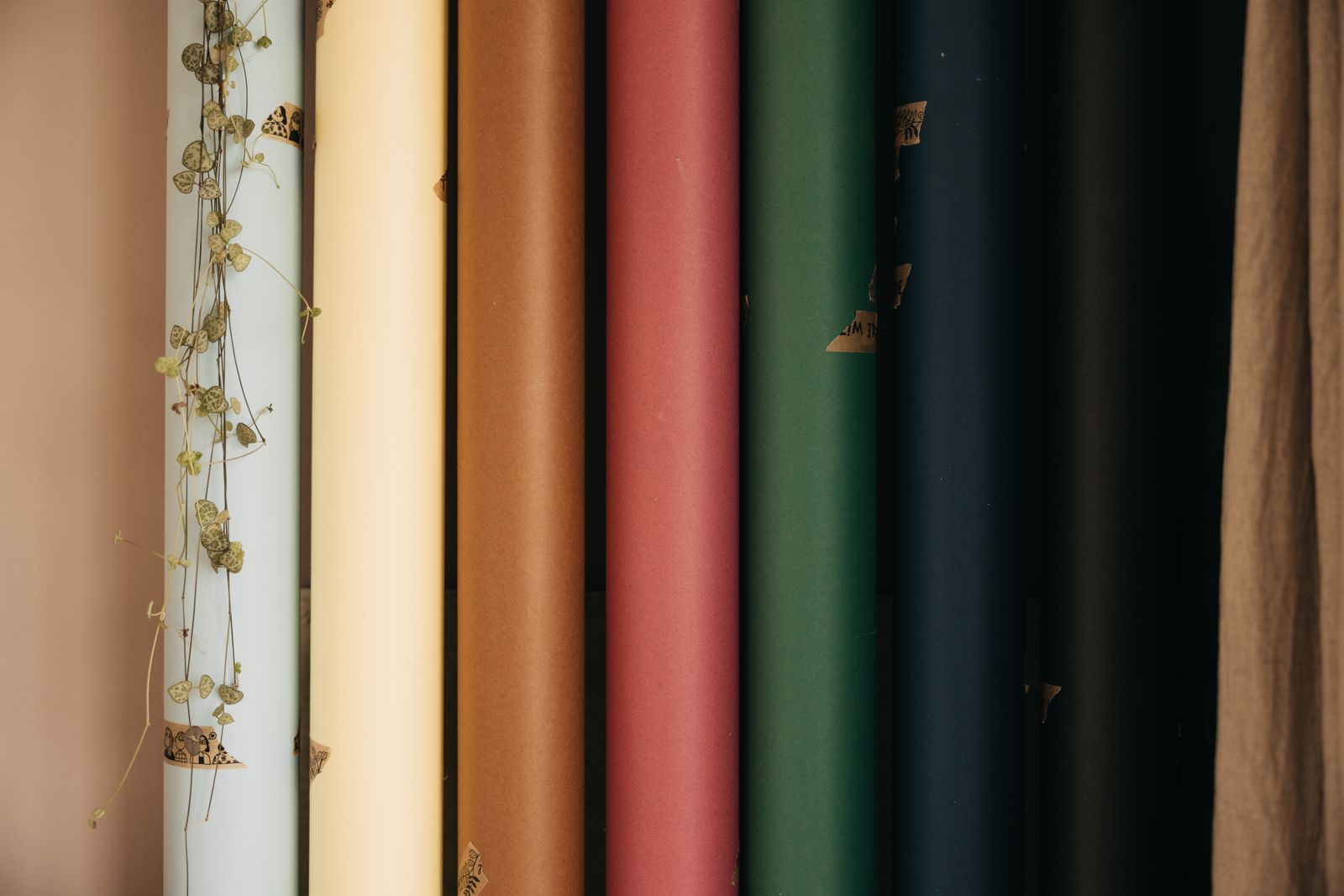 Rolls of coloured backdrop paper standing side by side