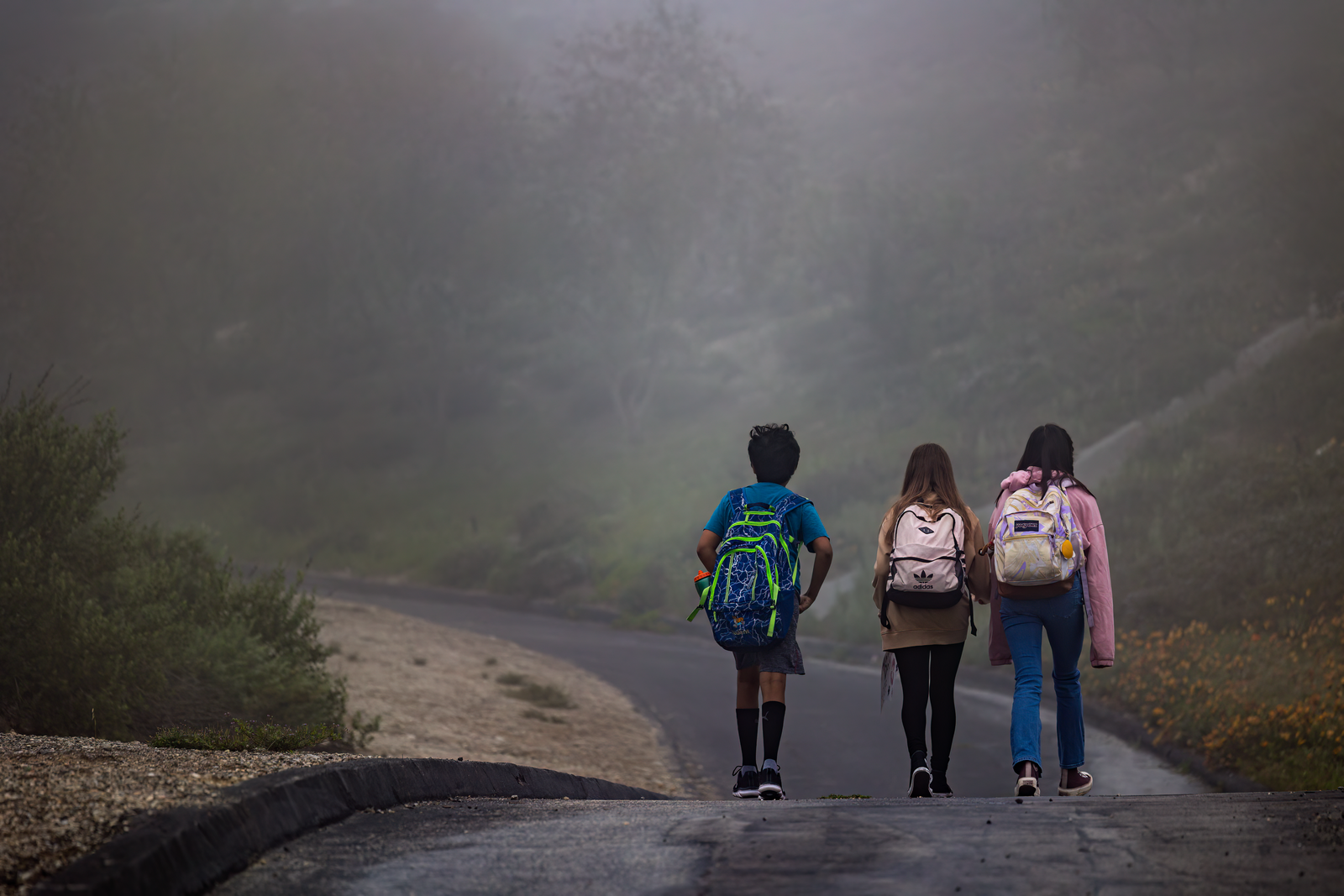 Three children with school backpacks walking away down a misty road