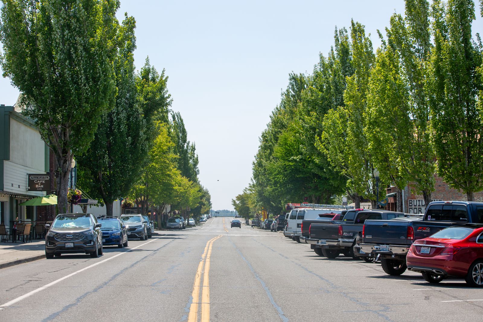 A small-town street lined with trees and parked cars on a sunny day