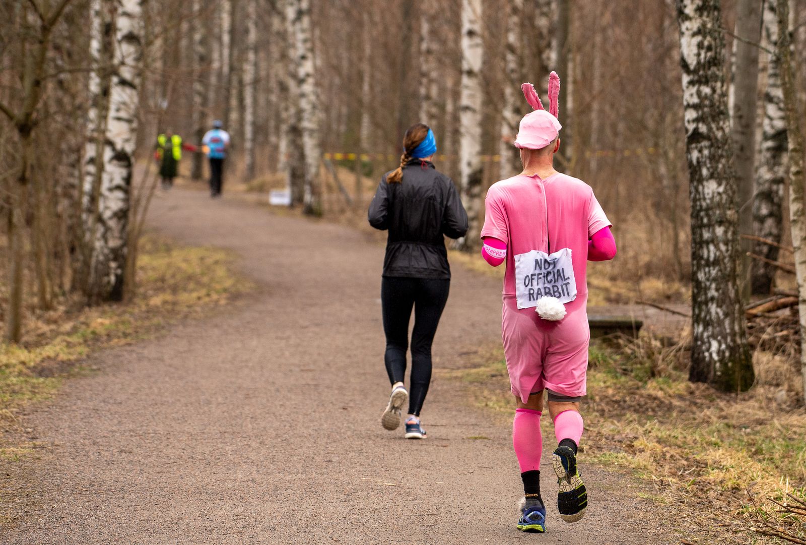 Runners on a forest path during a fun run, seen from behind