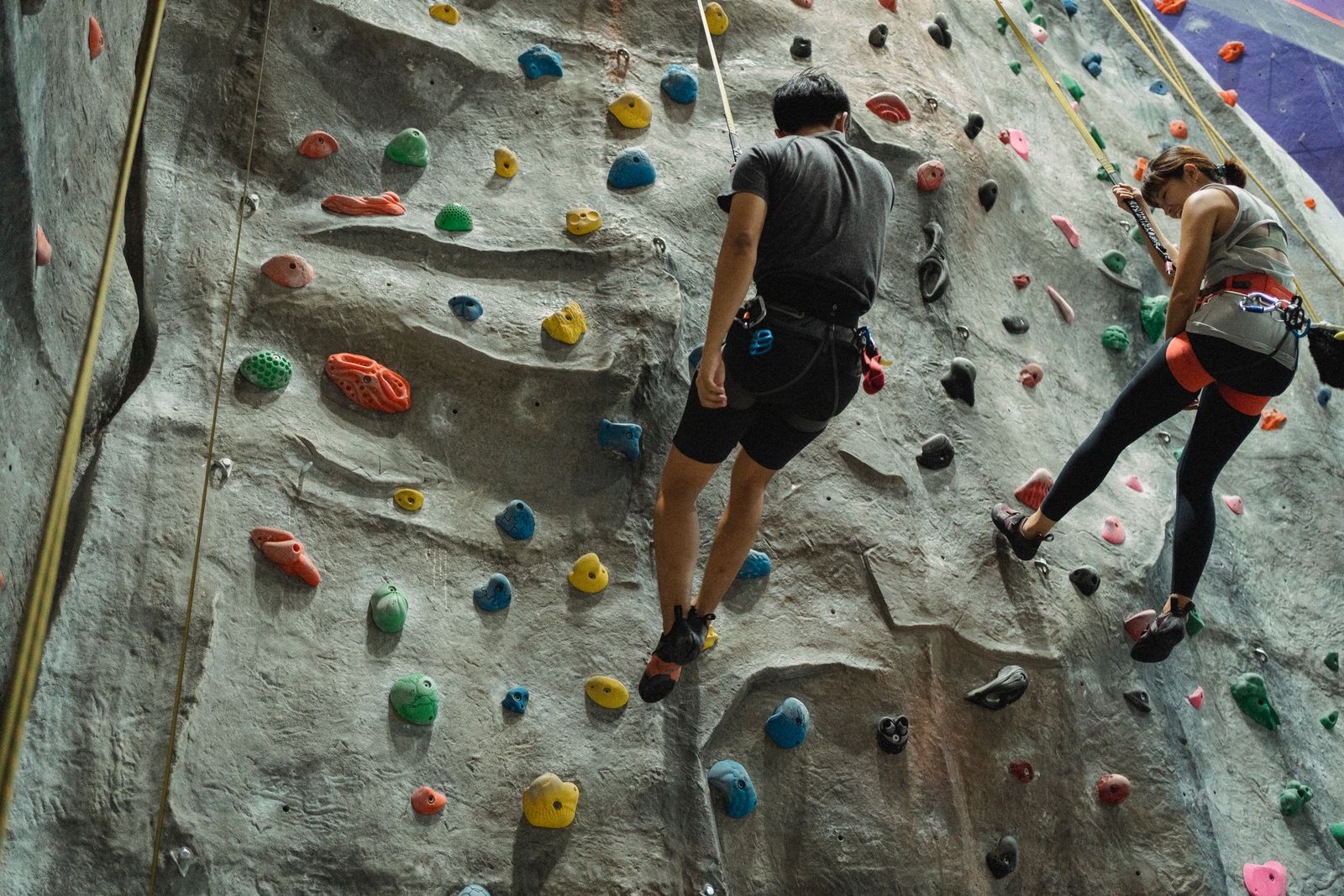 Two climbers seen from behind on an indoor climbing wall
