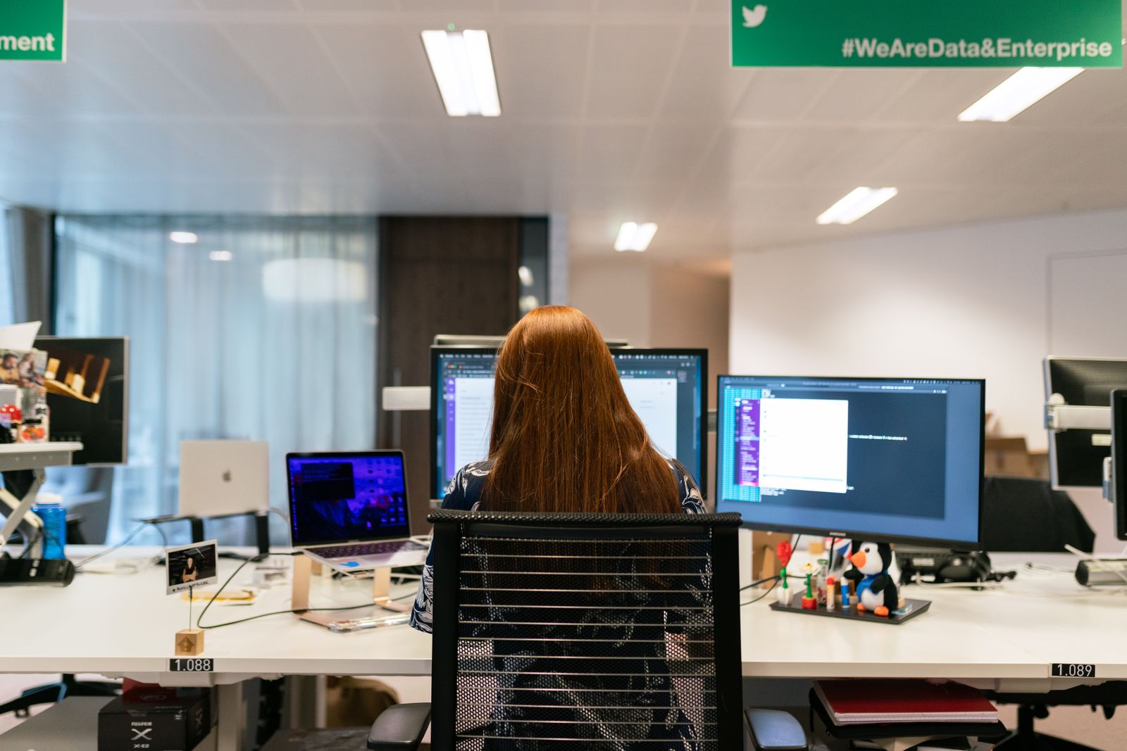 A software engineer seen from behind at a desk with several monitors