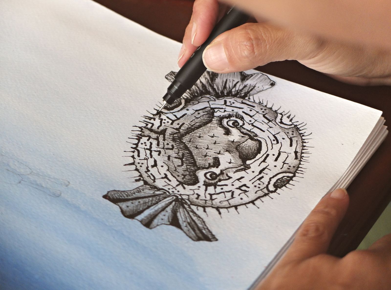 A hand drawing a detailed pufferfish in black pen on white paper