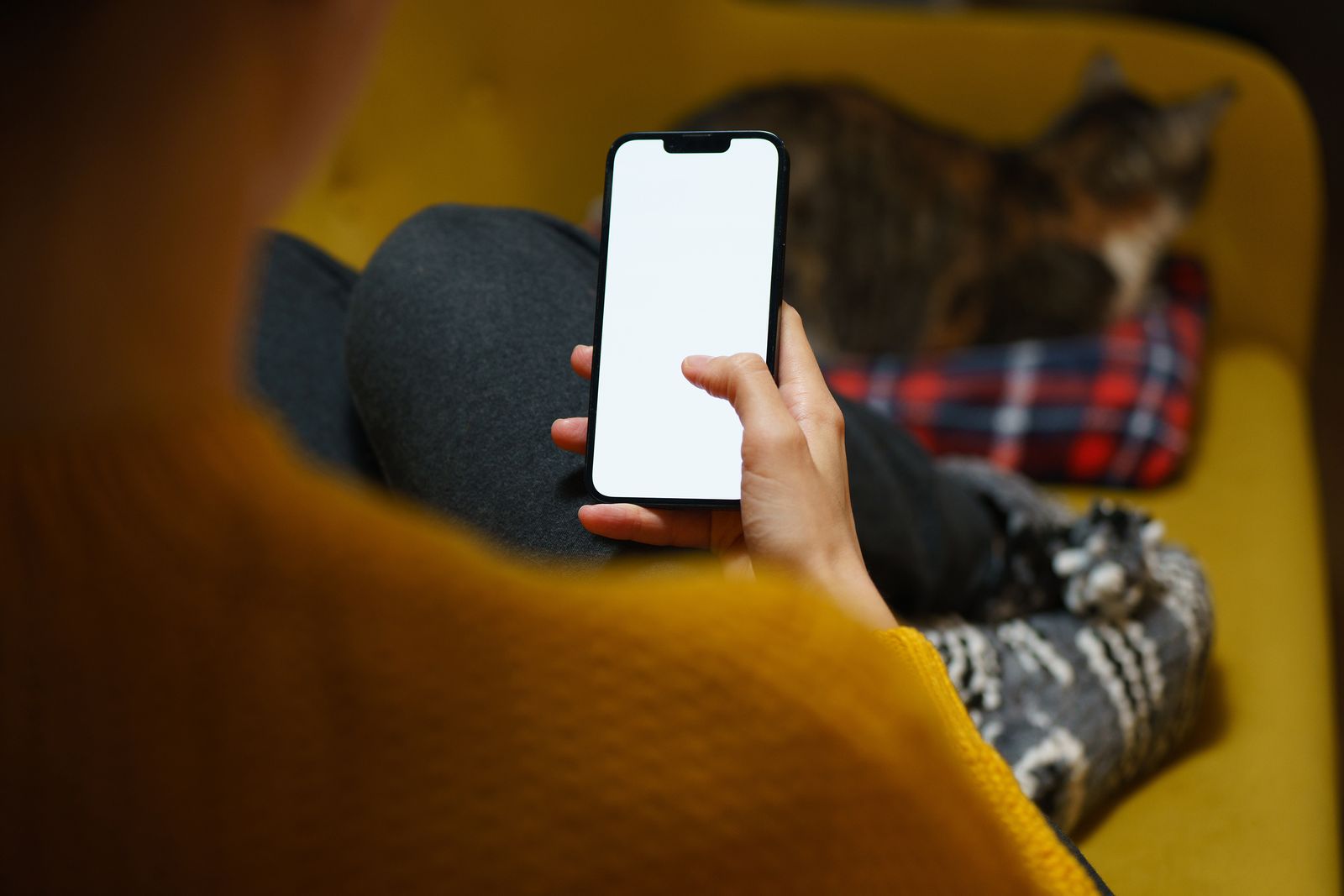 A person on a yellow sofa holding a phone with a blank screen, a cat asleep beside them