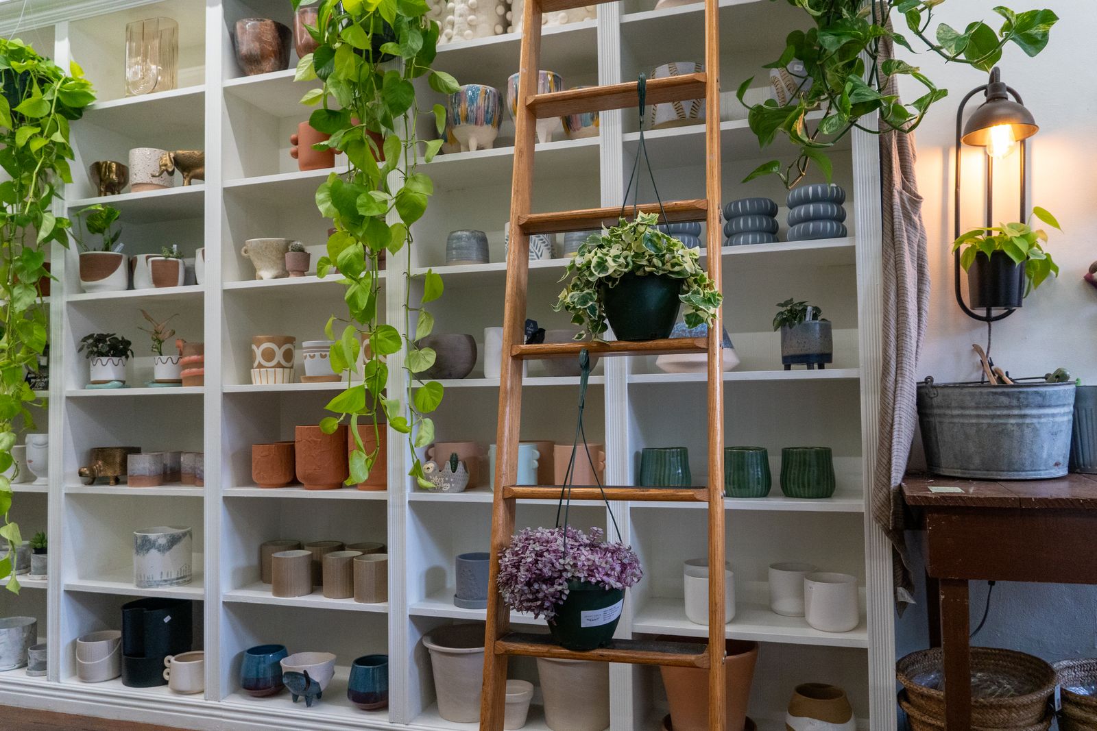 A pottery and homeware shop with white shelves of bowls and vases, plants and a wooden ladder