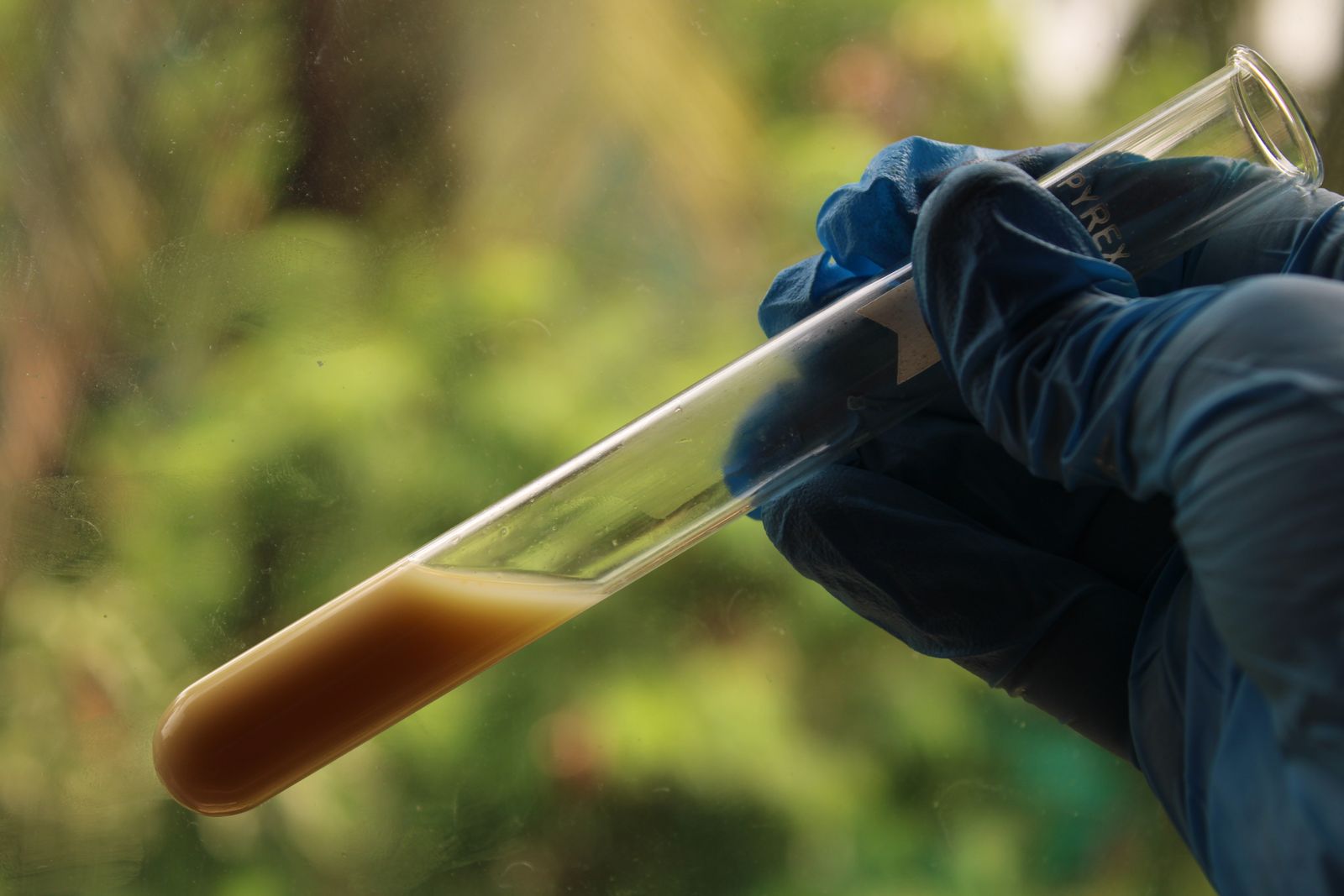 A gloved hand holding a test tube of brown groundwater outdoors