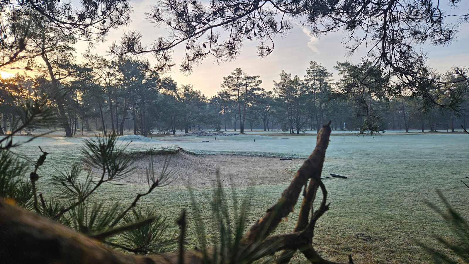 Frost on a fairway and a bunker at sunrise, pine trees behind