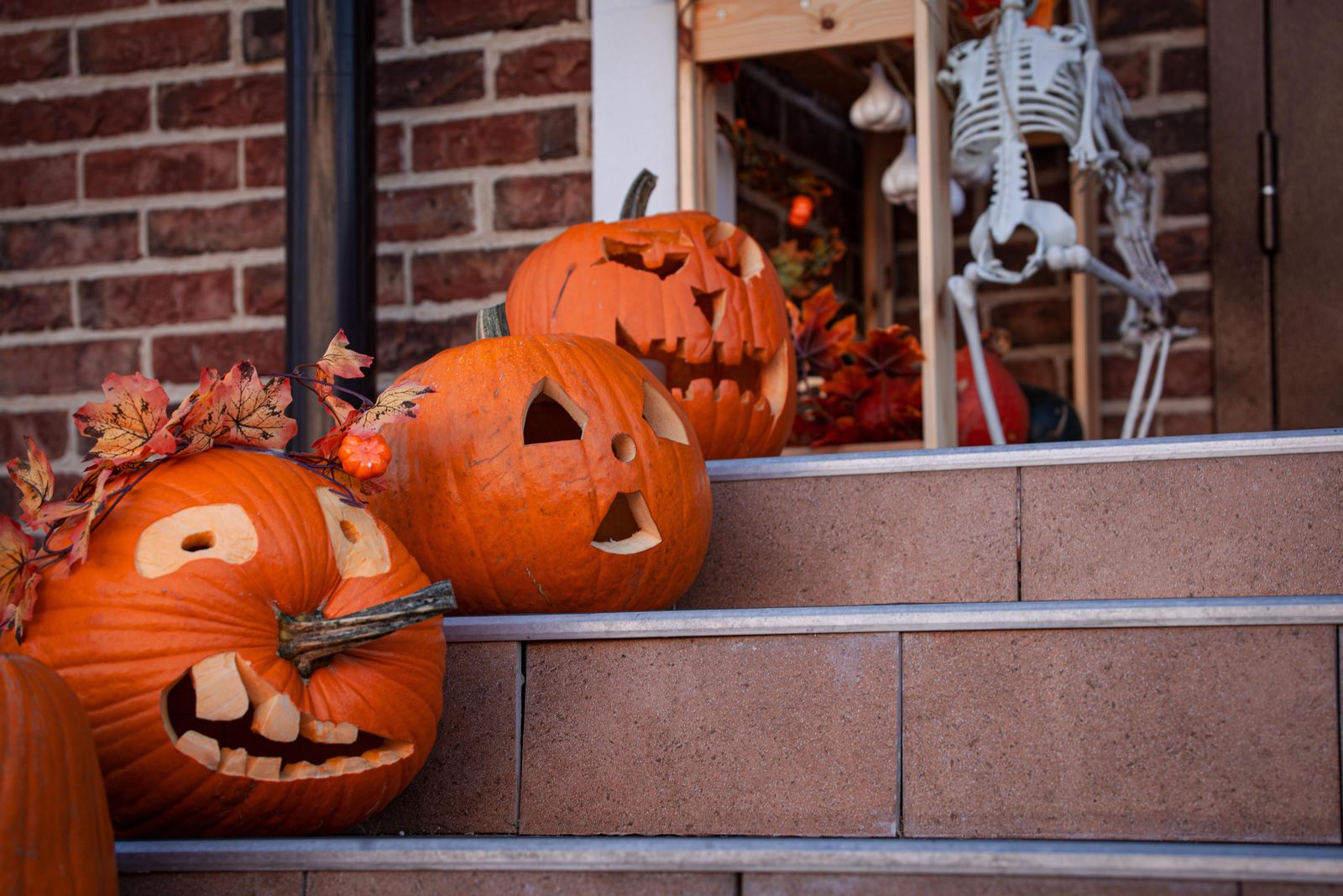 Carved pumpkins and a plastic skeleton on the brick steps of a front door