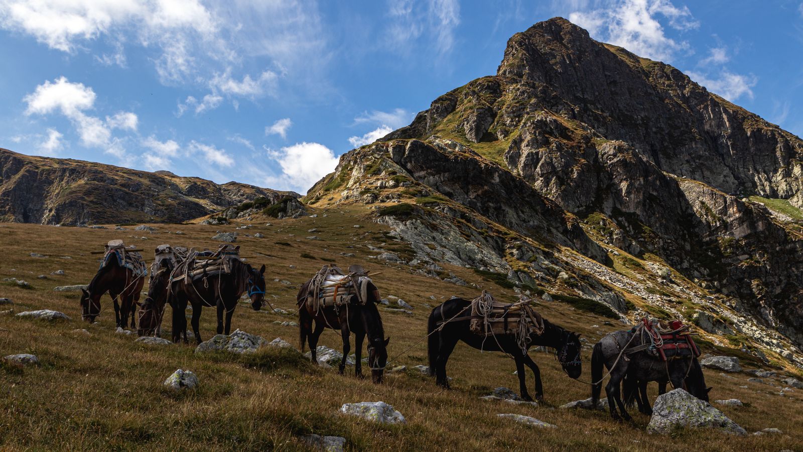 Pack horses grazing on a high slope below a rocky peak