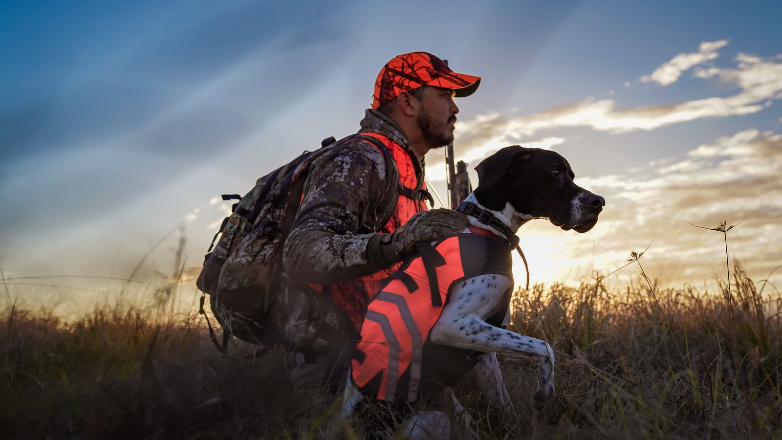 A hunter in a blaze orange cap and vest kneeling beside a pointer at sunrise