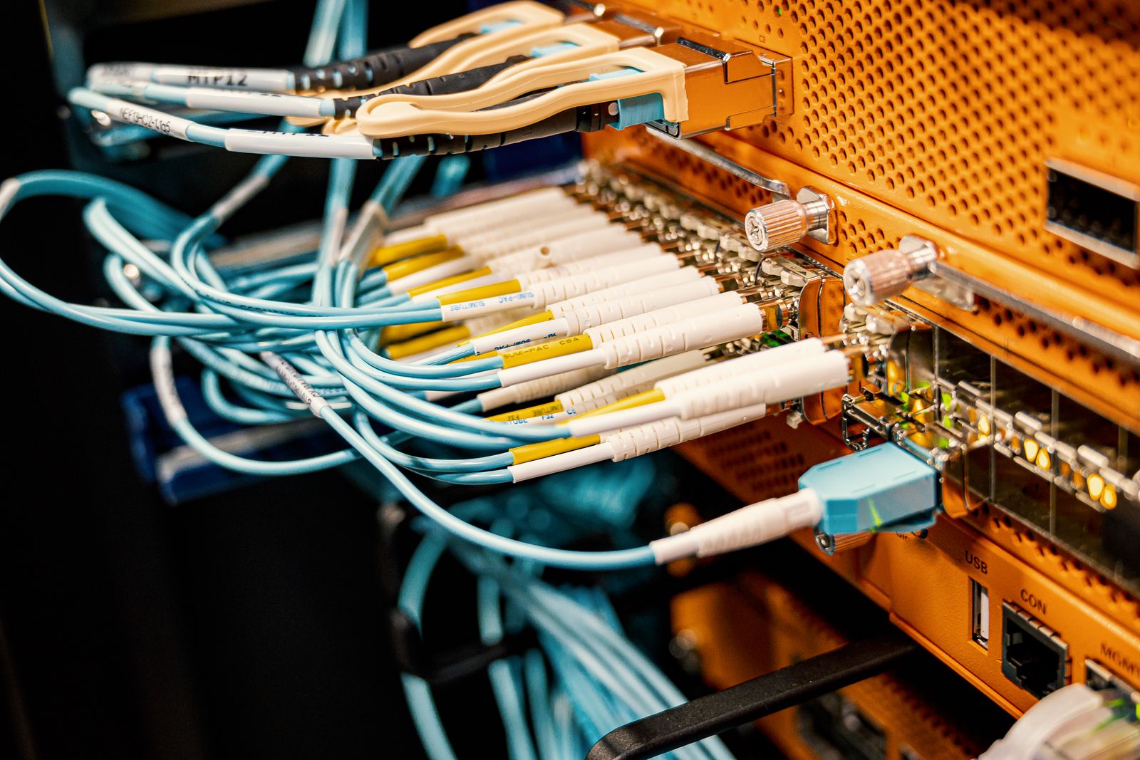 Patch cords plugged into the ports of a patch panel