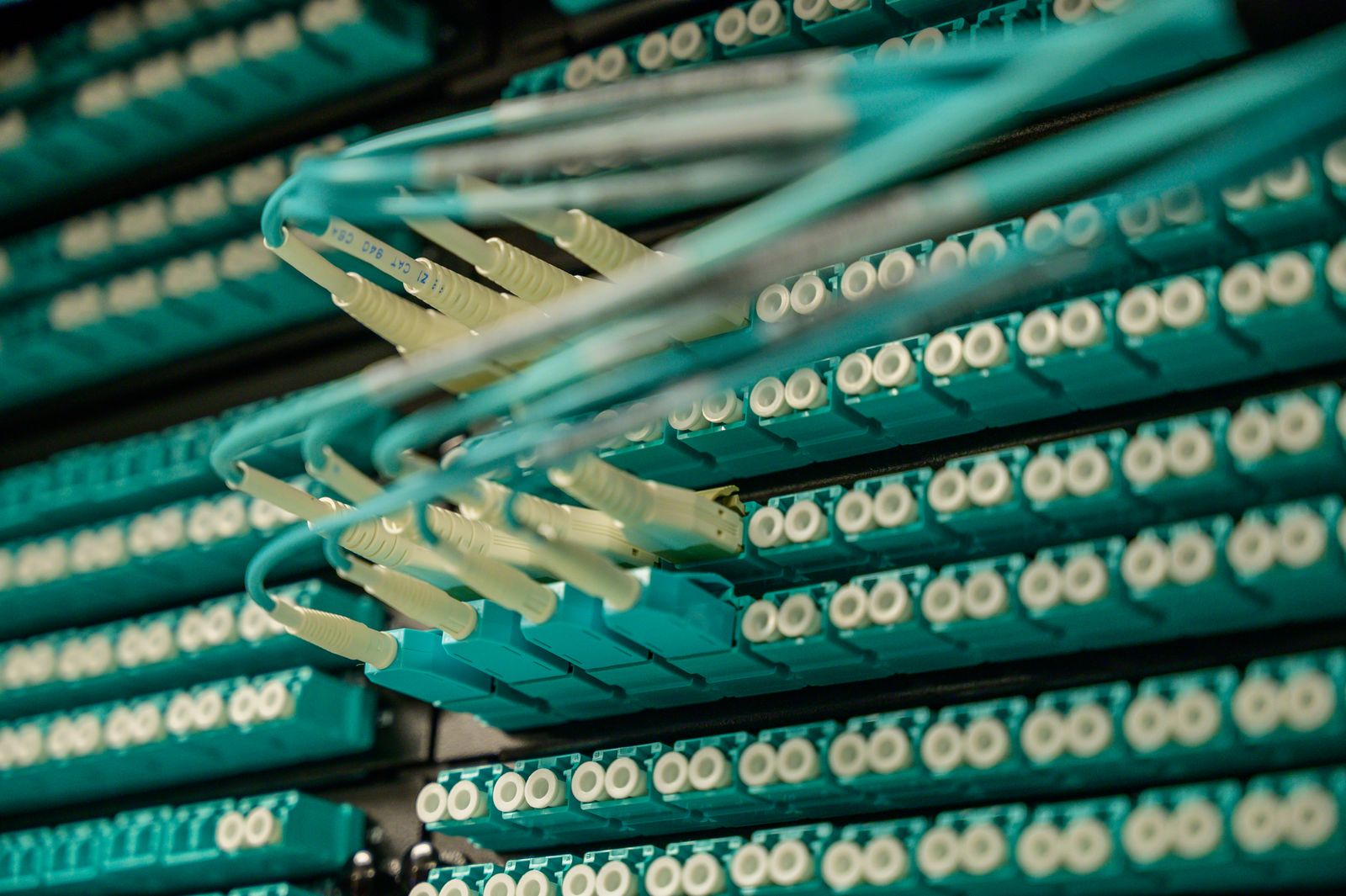 Fibre optic patch cables connected to a rack panel