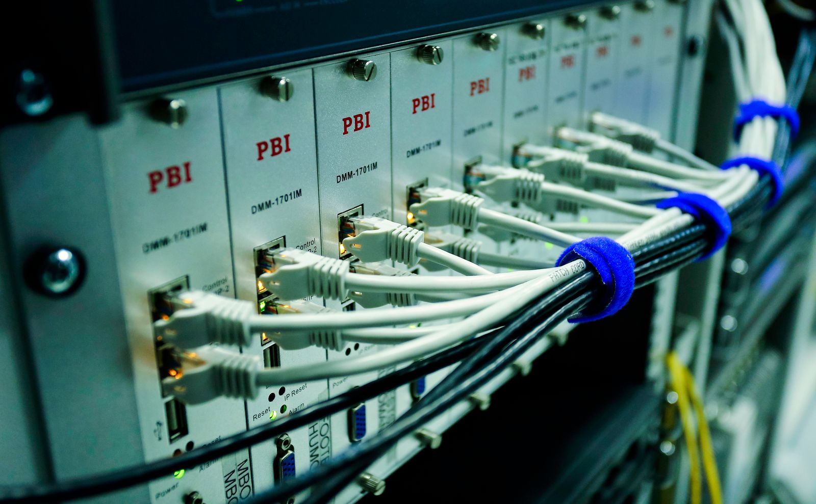 Network cables plugged into a switch panel in a data centre