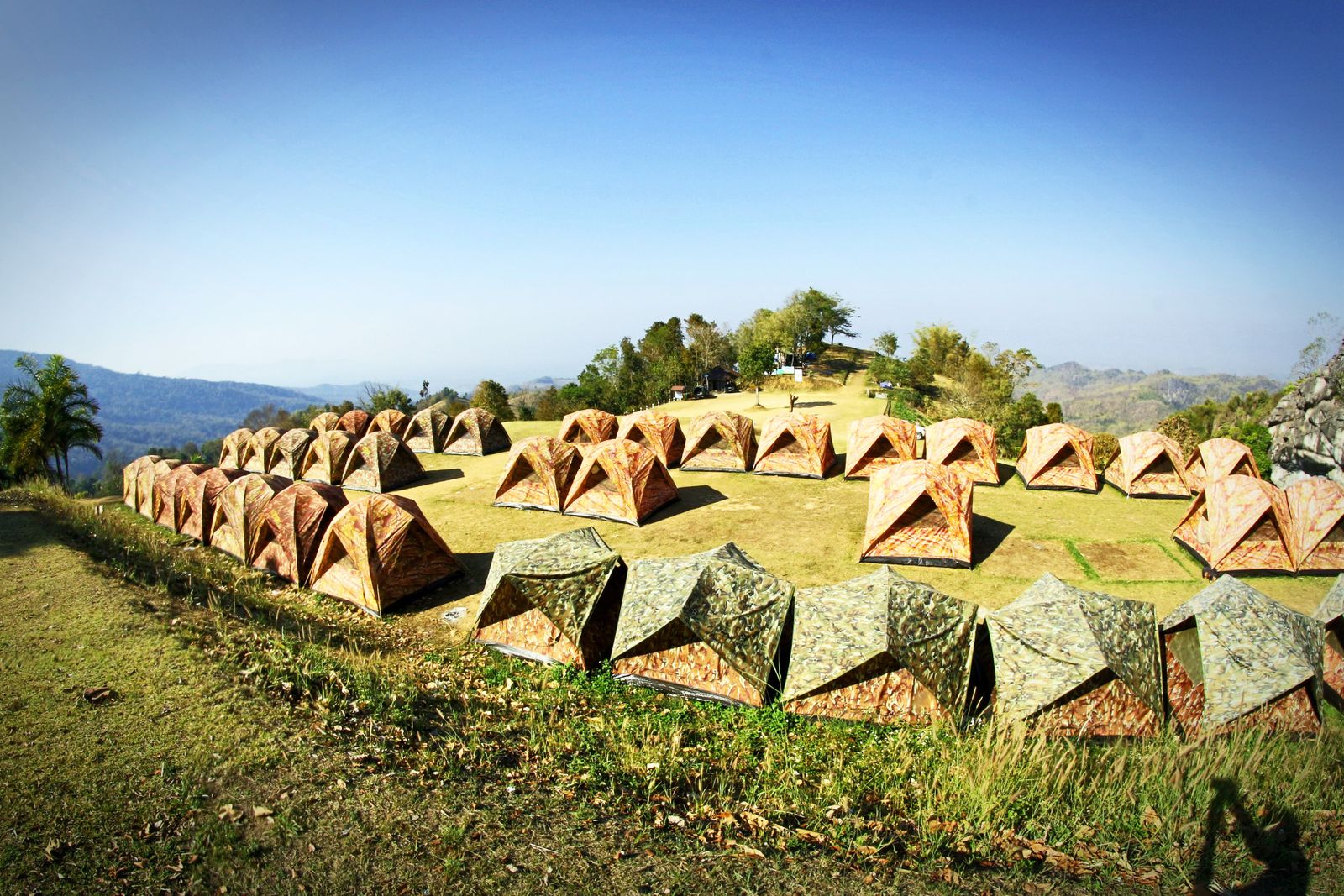 Rows of tents pitched on a green hillside