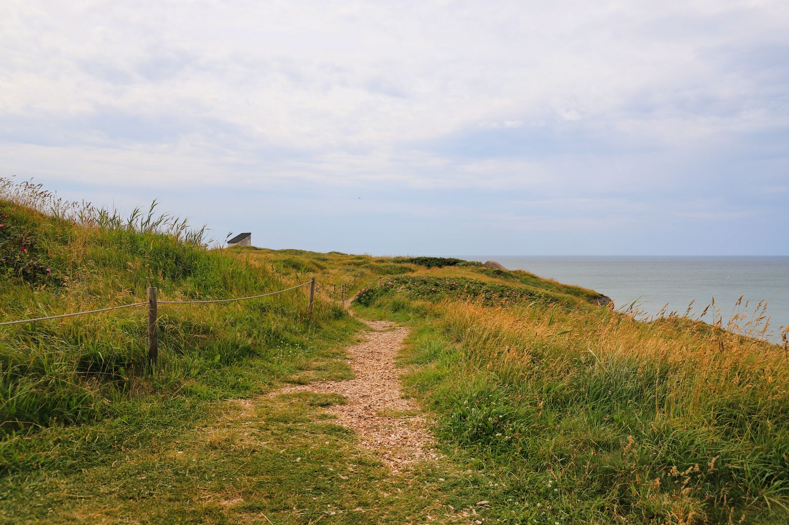 A grassy footpath leading to the sea under a pale sky