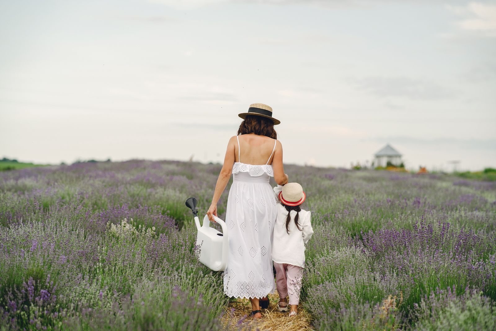 A mother and child walking through a lavender field, seen from behind