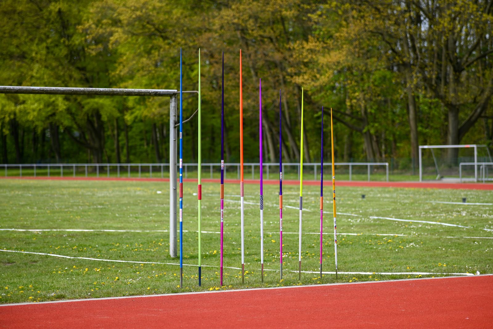 Javelins lined up beside the athletics track