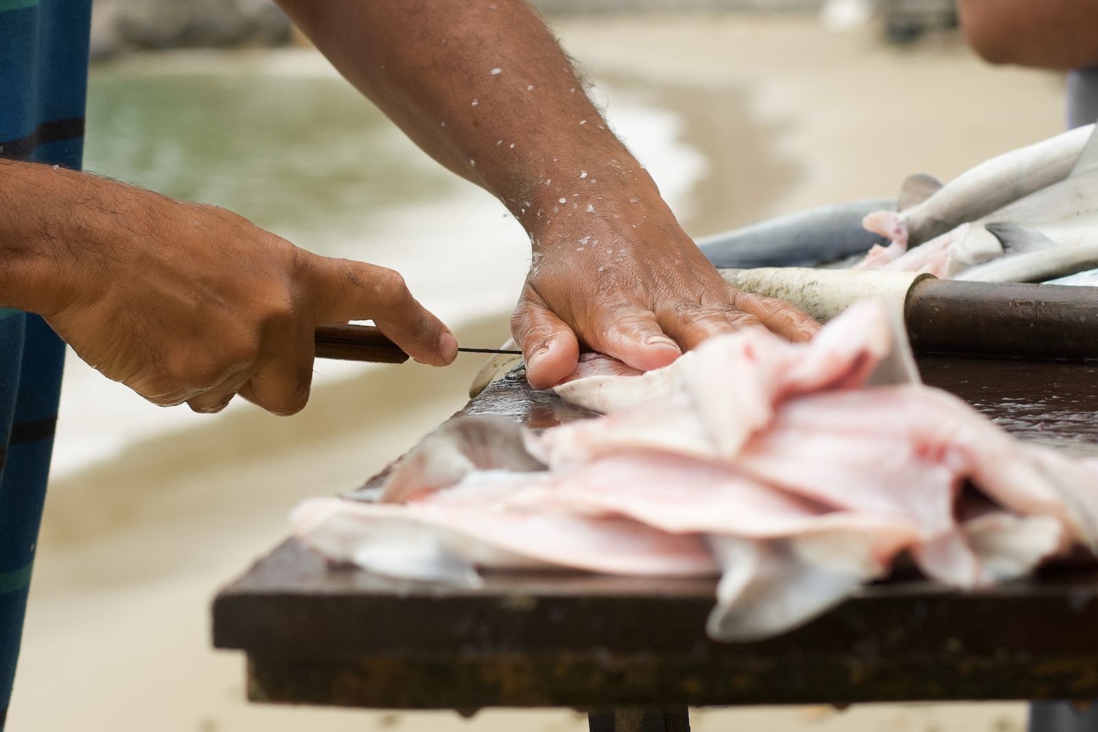 A fish being filleted on a wooden table by the beach