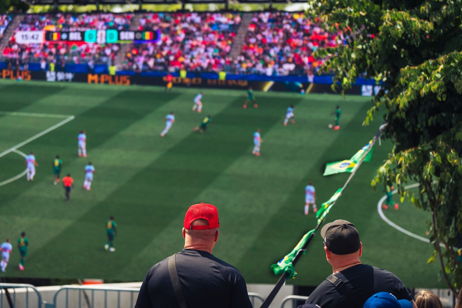 Supporters watching a match from the stand