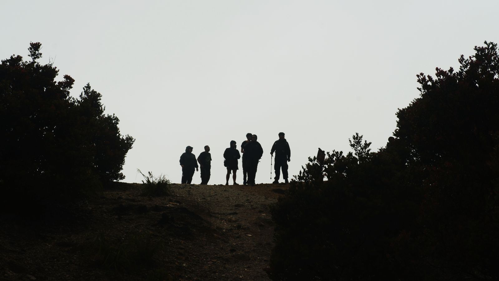 Six walkers in silhouette on a hilltop path between dark bushes under a pale, misty sky