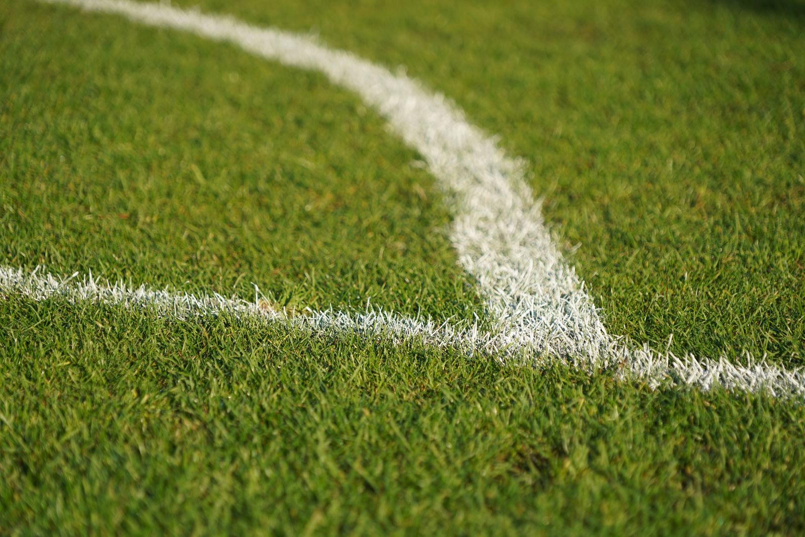 A white line painted on a freshly cut grass pitch, close up