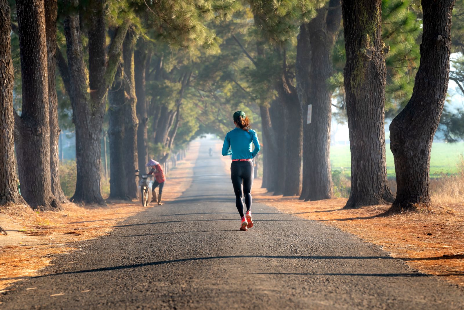 A runner in a blue top running away down a road lined with pines in the morning light