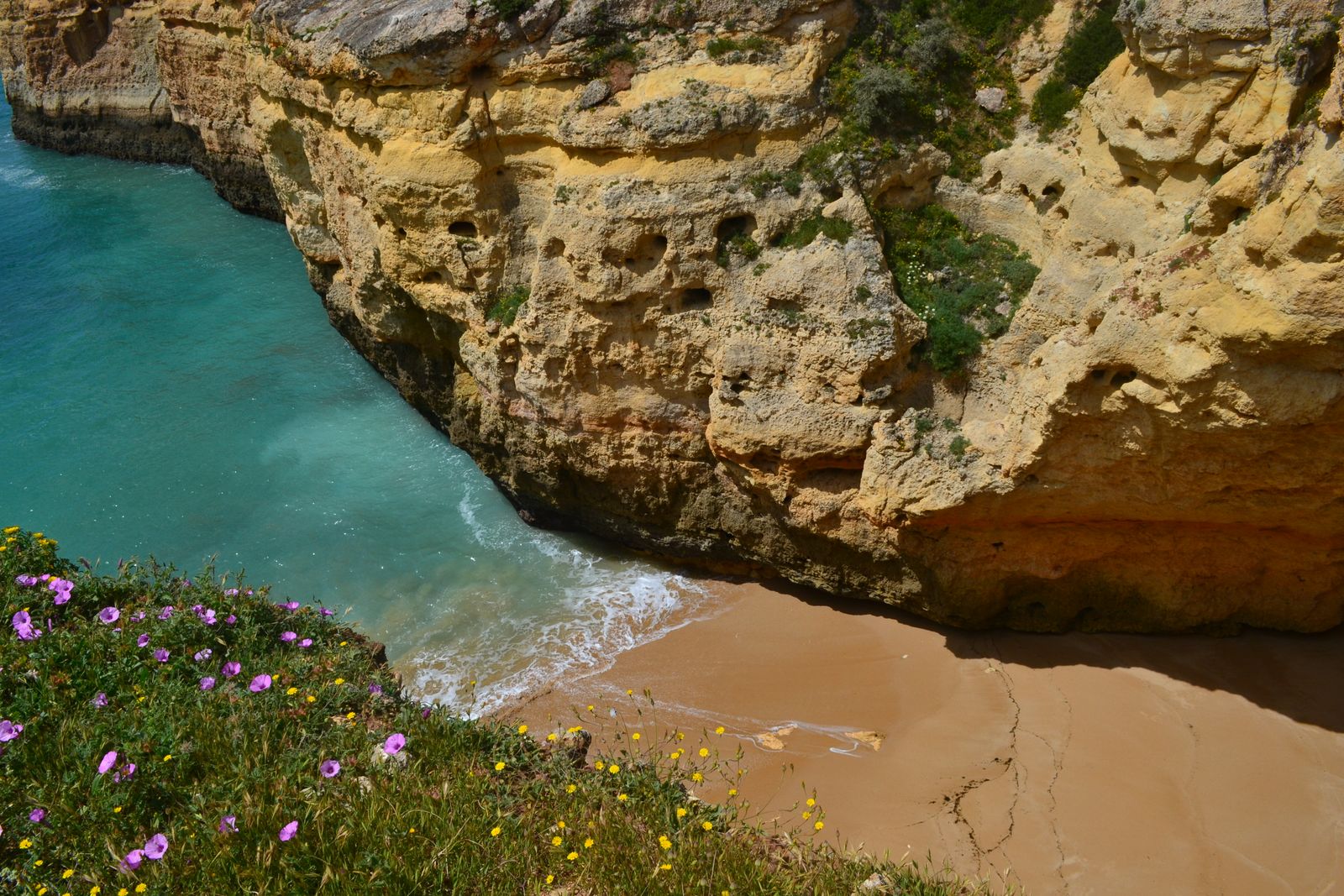 Limestone cliffs and a small beach on the Algarve coast with spring flowers