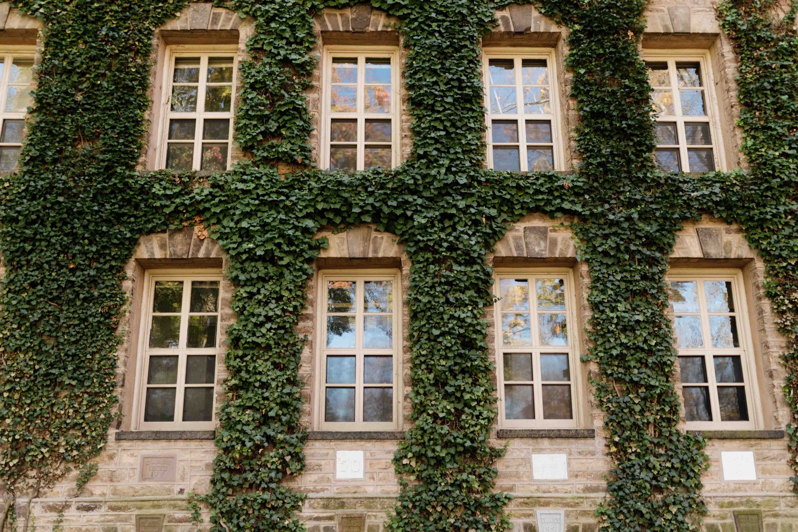 Old stone university building covered in ivy