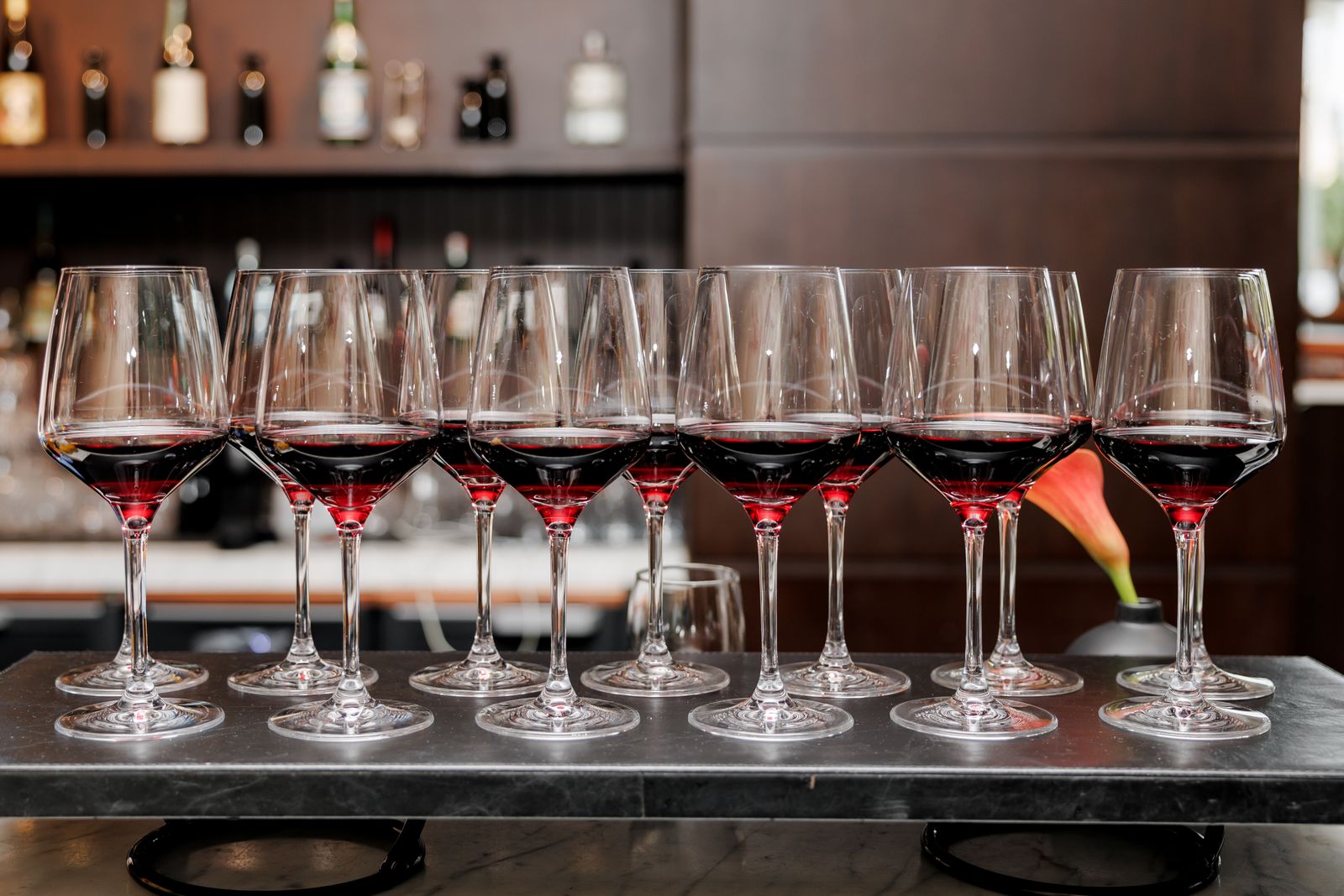 A row of wine glasses poured for a tasting flight on a counter